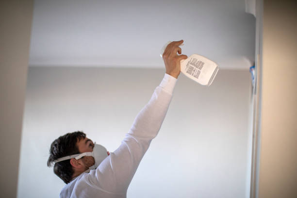 Best White Mold Remediation in Rancho Laveras, CA