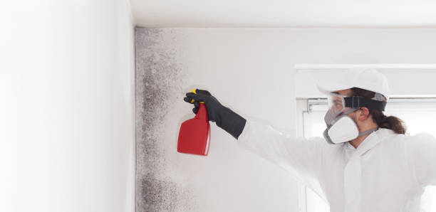 Best Post-Flood Mold Remediation in Rancho Laveras, CA